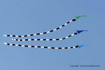 838 Cerfs volants  Berck sur Mer - MK3_8406_DxO WEB.jpg