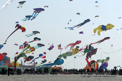 873 Cerfs volants  Berck sur Mer - MK3_8429_DxO WEB.jpg