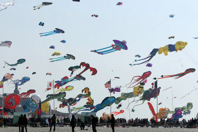 889 Cerfs volants  Berck sur Mer - MK3_8444_DxO WEB.jpg