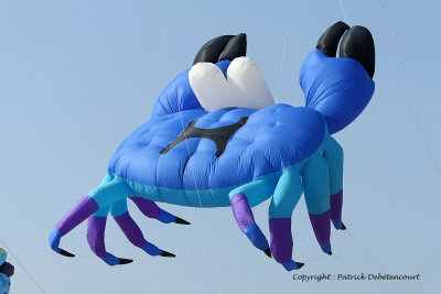 930 Cerfs volants  Berck sur Mer - MK3_8480_DxO WEB.jpg