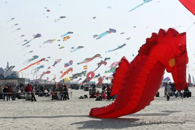 992 Cerfs volants  Berck sur Mer - MK3_8545_DxO WEB.jpg