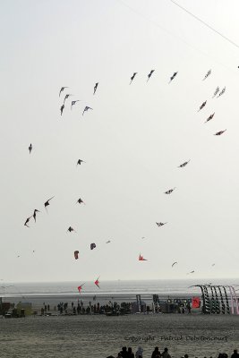 1026 Cerfs volants  Berck sur Mer - MK3_8581_DxO WEB.jpg