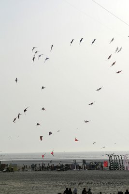 1026 Cerfs volants  Berck sur Mer - MK3_8581_DxO WEB.jpg