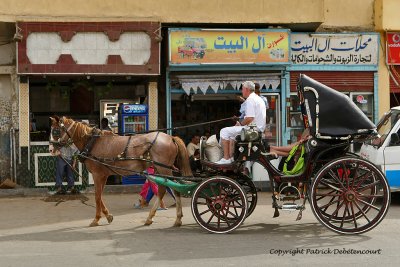 Louxor - 191 Vacances en Egypte - MK3_9032_DxO WEB.jpg