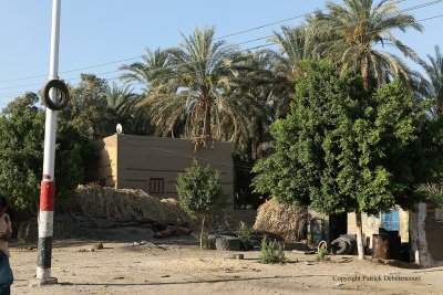 En voiture entre Louxor et Assouan - 406 Vacances en Egypte - MK3_9263_DxO WEB.jpg
