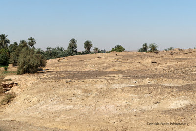 En voiture entre Louxor et Assouan - 449 Vacances en Egypte - MK3_9307_DxO WEB.jpg