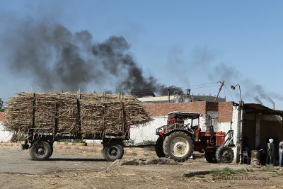 En voiture entre Louxor et Assouan - 454 Vacances en Egypte - MK3_9314_DxO WEB.jpg