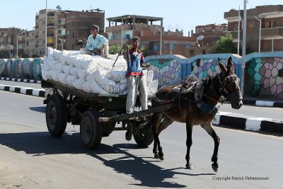 En voiture entre Louxor et Assouan - 459 Vacances en Egypte - MK3_9320_DxO WEB.jpg