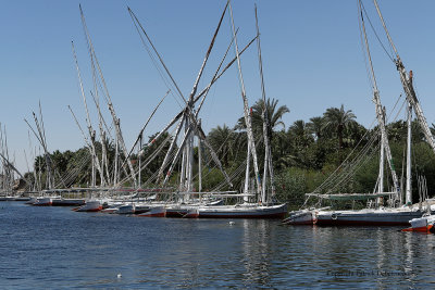 Assouan - 480 Vacances en Egypte - MK3_9341_DxO WEB.jpg