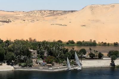 Assouan - 526 Vacances en Egypte - MK3_9388_DxO WEB.jpg