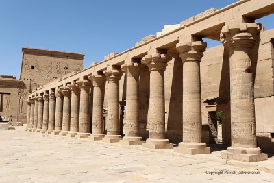 Visite du temple de Philae - 592 Vacances en Egypte - MK3_9454_DxO WEB.jpg