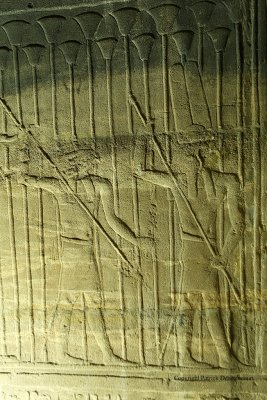 Visite du temple de Philae - 614 Vacances en Egypte - MK3_9477_DxO WEB.jpg