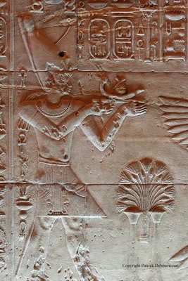 Visite du temple de Philae - 653 Vacances en Egypte - MK3_9516_DxO WEB.jpg