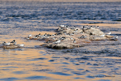 Assouan promenade en felouque - 1037 Vacances en Egypte - MK3_9913_DxO WEB.jpg