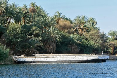 Assouan promenade en felouque - 1050 Vacances en Egypte - MK3_9927_DxO WEB.jpg