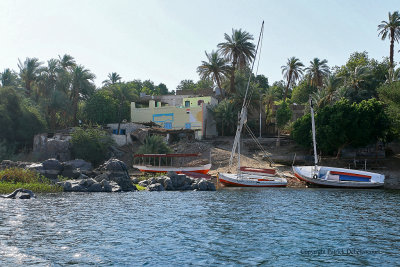 Assouan promenade en felouque - 1054 Vacances en Egypte - MK3_9931_DxO WEB.jpg