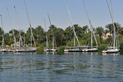 Assouan promenade en felouque - 1206 Vacances en Egypte - MK3_0085_DxO WEB.jpg