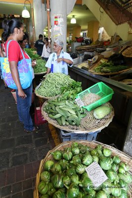 2 weeks on Mauritius island in march 2010 - 923MK3_0209_DxO WEB.jpg