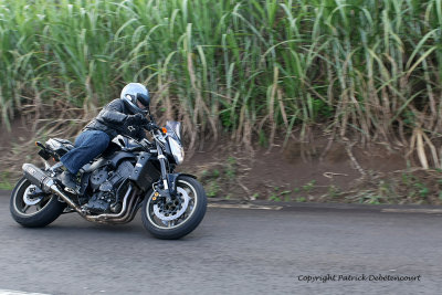 2 weeks on Mauritius island in march 2010 - 1261MK3_0552_DxO WEB.jpg