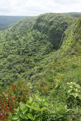 2 weeks on Mauritius island in march 2010 - 1343MK3_0634_DxO WEB.jpg