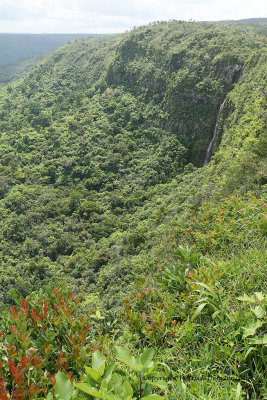 2 weeks on Mauritius island in march 2010 - 1344MK3_0635_DxO WEB.jpg