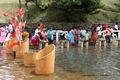 2 weeks on Mauritius island in march 2010 - 1545MK3_0840_DxO WEB.jpg