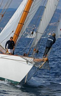 Voiles de Saint-Tropez 2005 -  Voiliers de tradition