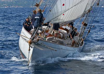 Voiles de Saint-Tropez 2005 -  Voiliers de tradition