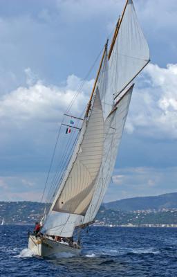 Voiles de Saint-Tropez 2005 -  Voiliers de tradition