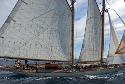 Voiles de Saint-Tropez 2005 - Voiliers de tradition - Sunshine