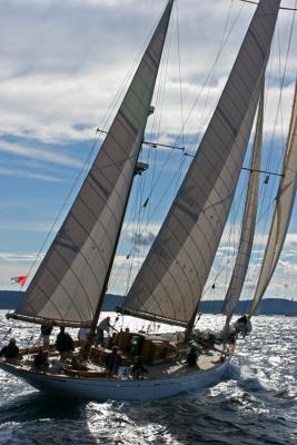 Voiles de Saint-Tropez 2005 - Voiliers de tradition - Sunshine