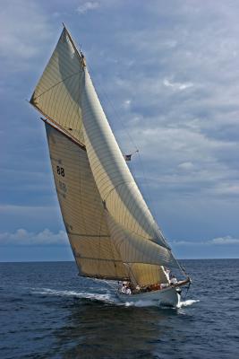 Voiles de Saint-Tropez 2005 - Voiliers de tradition