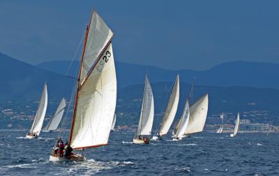 Voiles de Saint-Tropez 2005 - Voiliers de tradition