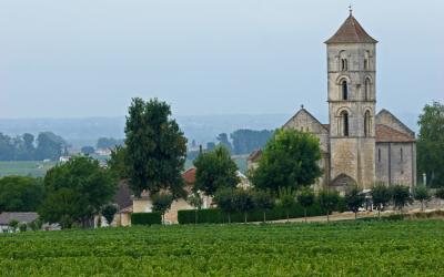 Dans les environs de Saint-Emilion - Near Saint-Emilion