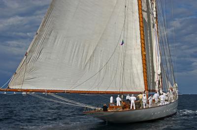 Voiles de Saint-Tropez 2005 - Voiliers de tradition