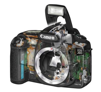 Canon EOS 20D open view