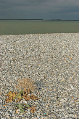 2007 - La pointe du Hourdel dans la baie de Somme