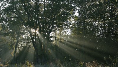 Promenade  vlo sur la vlovoie autour de Saint-Quentin-en-Tourmont