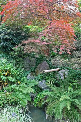 Promenade automnale dans le parc Albert Kahn