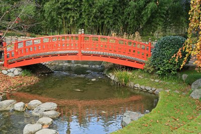 Promenade automnale dans le parc Albert Kahn