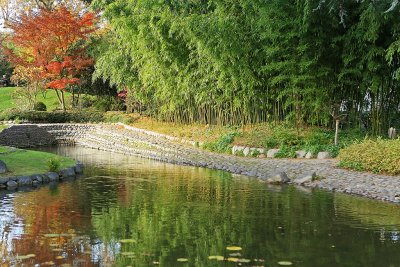 Promenade automnale dans le parc Albert Kahn