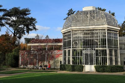 Promenade automnale dans le parc Albert Kahn