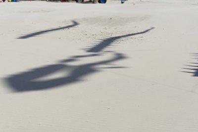 g3/09/515909/3/95628035.N06n6Mo2.jpg