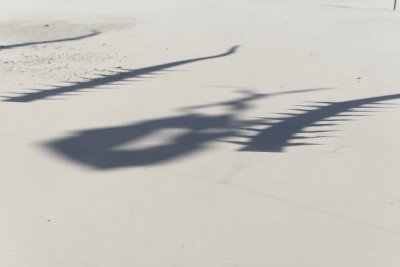 g3/09/515909/3/95628043.DO86dw5J.jpg