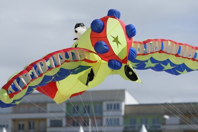 g3/09/515909/3/95628928.uZUzW2Jf.jpg