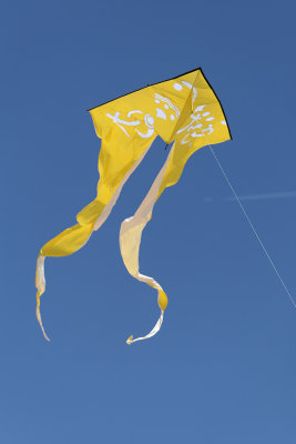 g3/09/515909/3/95628989.xL7N3ggO.jpg