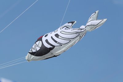 g3/09/515909/3/95629009.hHUjWdT2.jpg