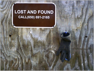0110090942_lost_glove.jpg