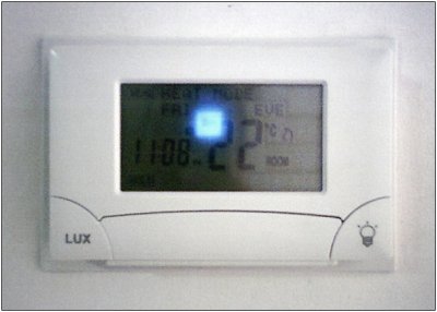 1204092309_lux.jpg