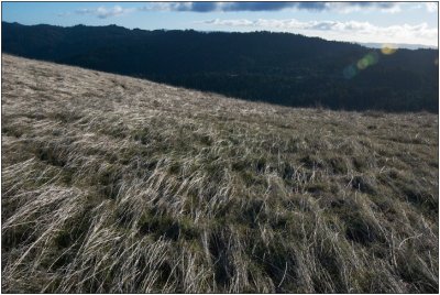 Monte Bello Open Space Reserve, Dec 2009